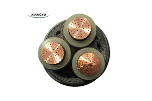 High-Voltage PV Wire 100FT 8/10/12AWG Outdoor Waterproof UV Resistant Tinned Copper Cable Solar Panel Marine Industrial Computer