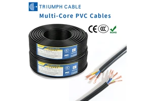 RVV 2 Core 3 Core 0.75mm 1.5mm 2.5mm PVC Insulated Soft Copper Wire 300V/500V Multi Core Control Cable Flexible Electrical Wires