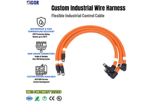 Industrial Custom Wire Harness with 90 Degree Right Angle M12 Connector High Flexible Cable for Servo Motor Automation Equipment