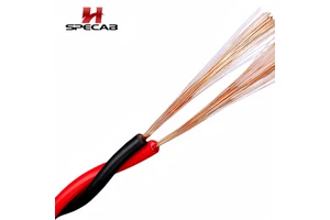 14AWG High End Speaker Cable OFC Pure Copper Twisted Pair 2x2.5mm² RYJS Flexible Audio Line for Professional Stage Sound System