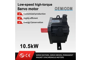 Customization Low Speed High Torque 10.5kW 500RPM 200N.m 250mm AC380V Permanent Magnet Synchronous Servo Motor for Injection