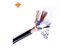 Customizable Industrial Armoured Copper PVC RVVP Cables 2*0.5mm Flexible Shielded Signal Control Cable Instrumentation