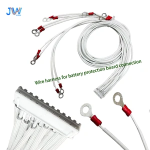 High Temperature Resistant Bms Wiring Harness for Lithium Battery Pack Protection Board for E Bike Scooter and Solar Storage