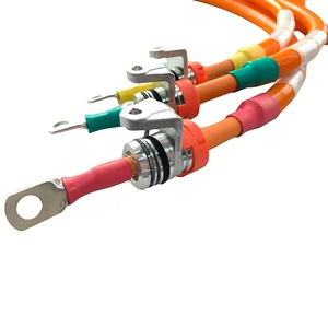 OEM ODM Customized High Temperature Resistance EV Cable High Voltage Power Wiring Harness XLPE Insulation Bare Copper Conductor