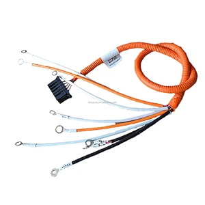 Wholesales Price Automotive Wire Harness Support Custom Wiring Harnesses Automotive
