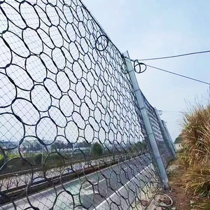 Bochang Wiremesh Rock Barrier Fence Welded Mesh Galvanized Steel Trellis Gates Bending Protecting Mesh ECO Friendly Rodent Proof