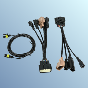 Custom Cable Assembly Harness Automotive Headlight Connection Harness for Automobile Repair and Wholesale