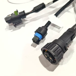 ODM OEM Manufacturer Customized Electrical Car Auto Automotive Parts Wire Cable Assembly Heavy Truck Chassis Wiring Harness