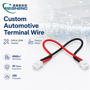 125mm 2P Double-ended Insulated Cable Same Direction Pitch 2-pin Red Black Terminal Cable Reverse Polarity Wire Harness