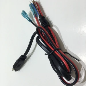 Copper Core Copper Wire Electrical Cable 6mm2 105C Red Power Connection Black SAE Plug PVC Jacket RoHS 1960mm Trailer Automobile