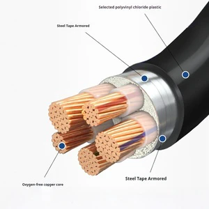 YaLi 0.6/1kV WDZC-YJY 2 Core Aluminum Conductor XLPE Insulation PVC Jacket Low Voltage Cable IP68 Rated Construction Industrial