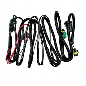 Fog Light Car Wiring Harness Assembly Loom Manufacturer