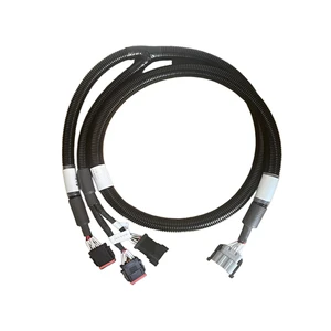 Customizable High-Temperature Resistant BMS Wiring Harness for Electric Vehicles OEM ODM PVC EV Cable Assembly Battery Power