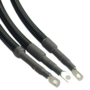 Customized High Voltage DCDC Power Cable Harness for Electric Vehicle Battery Management China Supplier's Energy Wiring Harness