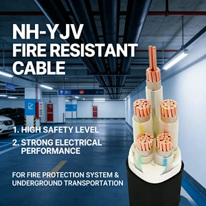 NH-YJV Xlpe Insulated Power Cables Fireproof Copper Power Cable 0.6/1kV Armoured Cable for Underground Construction