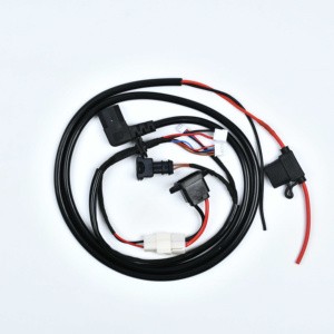 China Automotive Wiring Harness Assembly Custom Engine Wiring Harness