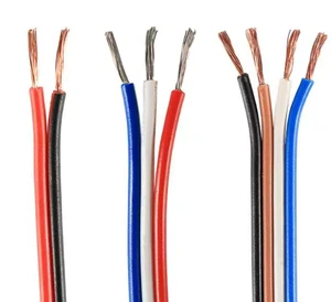 Source Factory Multi-core 2 3 4 Core Electric Cable 300V UL 2468 PVC Tinned Copper Flat Ribbon Wire for Energy Storage