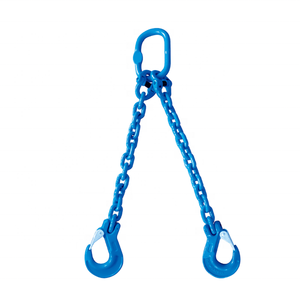 Grade 100 Chain Double Legs Lifting Chain Sling With Chain Hooks In Blue