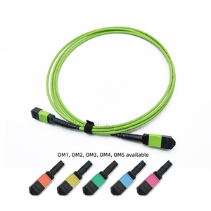 High Quality MTP/MPO Fiber Optic Cable Singlemode G657A1/A2 PVC LSZH 8/12/24 Core Trunk Assembly Datacenter 40G/100G Custom