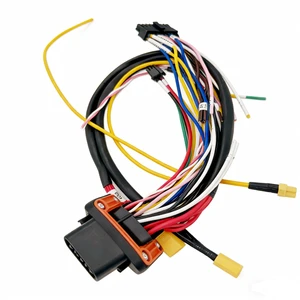 Custom Multi-Core Wire Harness Assembly with Connector OEM ODM Automotive Industrial Electrical Cable Harness