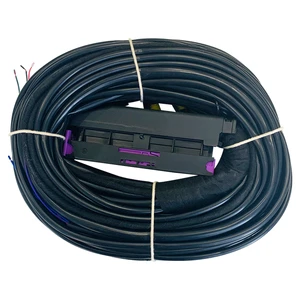 Custom Wire Harness and Cable Assemblies Ecu System Wiring Harness