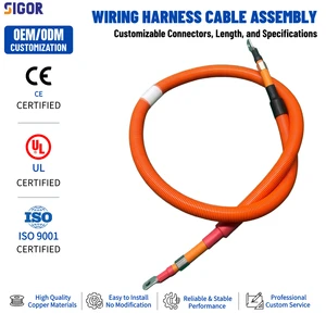 Manufacturer Custom New Energy Vehicle High Voltage Wiring Harness EV Computer Application PVC Insulation OEM ODM