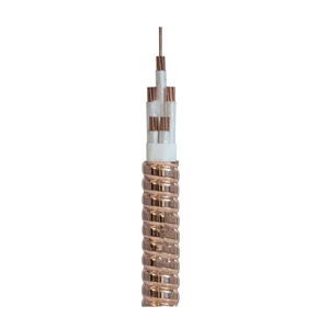 0.6/1KV Fire Resistant Power Cable YTTW