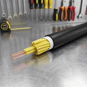 Professional & Industrial Control Cable with XLPE Insulation and Copper Conductor-OEM Service