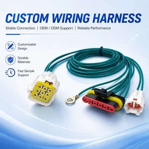 Weisheng IATF16949 Certified 5P 9P Custom Electronic Waterproof PBT Wiring Harness IP67 DJ7026-2-11/21