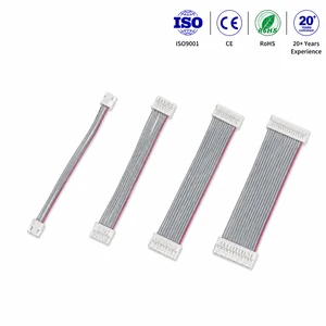 Custom Flat Ribbon Cable Assembly Multi Pin Wire Harness for Industrial Control and Electronic Equipment