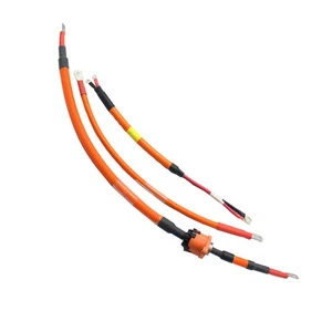 New Energy Vehicles High Voltage Cable 125 Degrees Celsius High Temperature Waterproof Connection EV Harness Customization