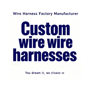 High Temperature Resistant XH2.54 SM2.5 2P Terminal Harness UL Certified for Industrial Automation Robotics
