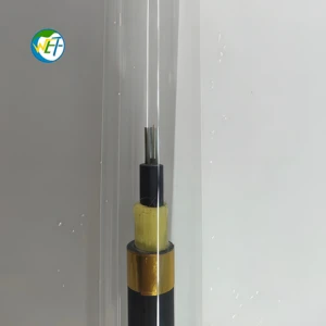 Wolf Aerial Self-Supported ADSS Fiber Optic Cable 48Core ADSS-48B1 PE Jacket Customized Length Outdoor Parallel Use