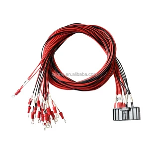 Professional Customized Cable Electronic Harness Water Purifier Wiring/Y-port Harness Electrical Wiring Harness
