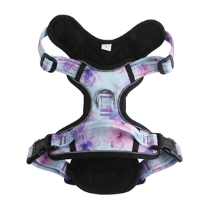 OEM No Pull Dog Harness Set With Collar Leash And Bandana Breathable Mesh Padding For Small Medium Large Dogs Wholesale