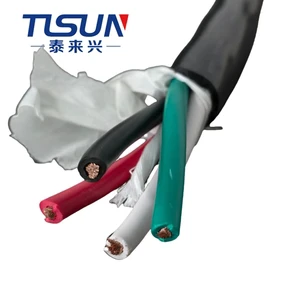 EVE 2X6 + 8AWG+18AWG Automotive Charging Station Equipment Cable, Suitable for Mobile Portable Charging Wire Cable Devices.
