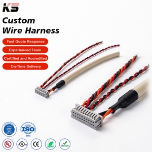Custom OEM Cable SH ZH PH XH SM 1.0 1.5 2.0 2.54 Auto Connector Male To Female Terminal Complete Wiring Harnesses