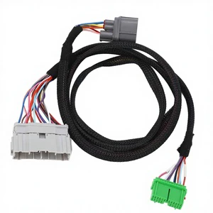 Chassis Wiring Harness B/D Series Adapter Wire Connectors Copper Core PVC IP67 Rated 110V Automotive Cable Assembly