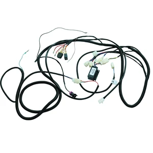High Temperature Plug AC Wire Harness Assembly Copper Core Waterproof for Toyota/Honda Customizable Wiring Harness