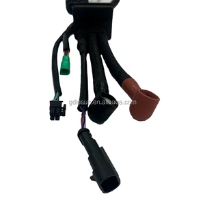 Custom Auto Mobile Wire Harness Automotive Cable Terminal Assemblies for Automobile Application