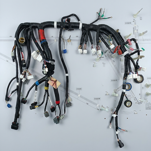 OEM ODM Custom Copper 24V New Wire Harness for Construction Machinery