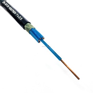 Multi-Core ZR-KYJV/KVV Fire-Resistant Control Cable Pure Copper Conductor PVC Sheath Flexible Power Cable for Power Stations