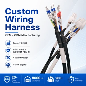 Custom Multi-Core Industrial Wiring Harness with JST Connectors and Labeled Terminals for Control Systems