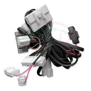 Manufacturer Supply Custom-Made Automotive Wire Harness PVC/Nylon Tinned Copper Conductor 600V Rated RoHS for for Cars