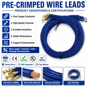 Pre Crimped Wire Leads Custom Wire Harness Cable Assembly Copper Terminal Connector Wire OEM ODM Factory Supply