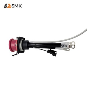 OEM Custom Automotive Engine Wiring Harness Assembly Waterproof Auto Cable Harness For EFI System Vehicle Electrical Wiring
