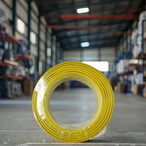 Solid Single-Core Hard Conductor Unsheathed Cable 2.5mm² PVC Insulated for Household Building Industrial Applications