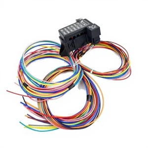Brand New Made in China Wiring Harness 1807419C96 2067958-00-B 1842380C95
