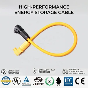 Custom IP67 Waterproof Power Battery Energy Storage System Cable Assembly High Production 1000V/1500V 100A-500A PVC Insulated