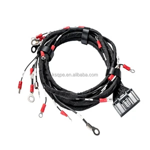 OEM ODM Custom Car Engine Ignition Coil Harness ECU Cable Assembly Universal Automotive Wiring Home Appliances Machines Rubber